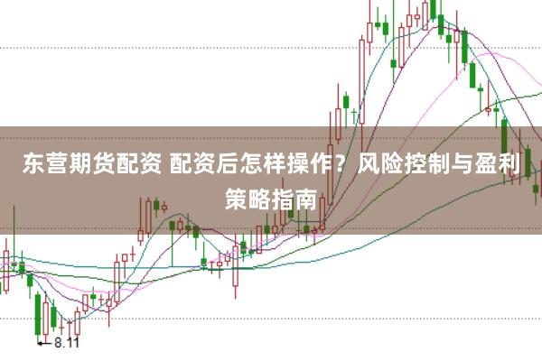 东营期货配资 配资后怎样操作？风险控制与盈利策略指南