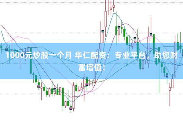 1000元炒股一个月 华仁配资：专业平台，助您财富增值！