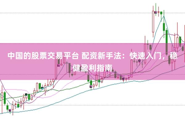 中国的股票交易平台 配资新手法：快速入门，稳健盈利指南