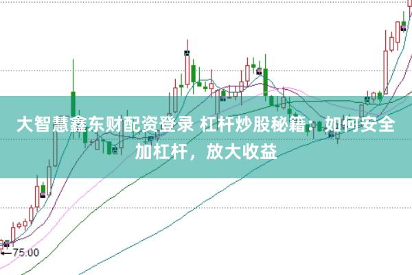 大智慧鑫东财配资登录 杠杆炒股秘籍：如何安全加杠杆，放大收益