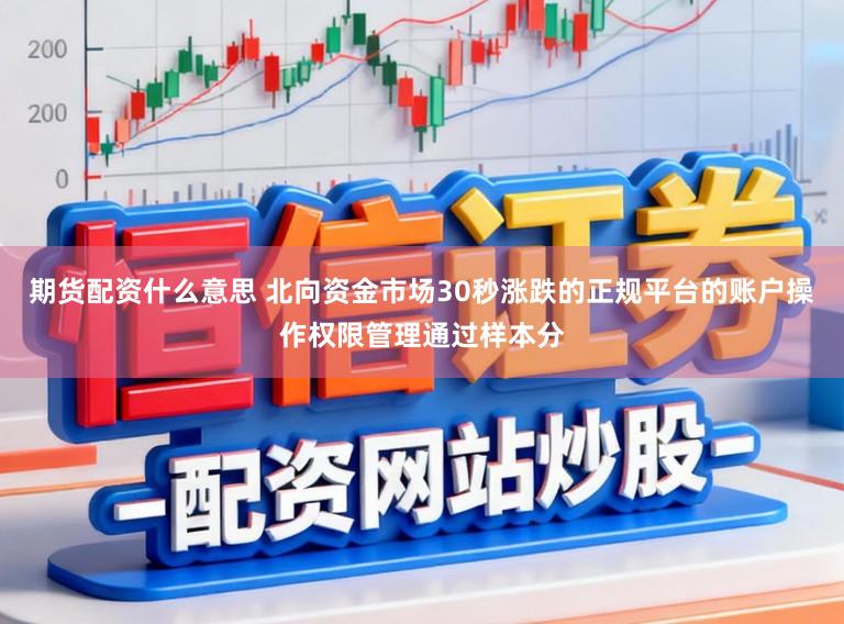 期货配资什么意思 北向资金市场30秒涨跌的正规平台的账户操作权限管理通过样本分